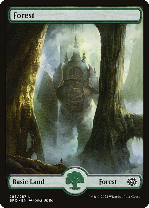 Forest (286) - FULL ART