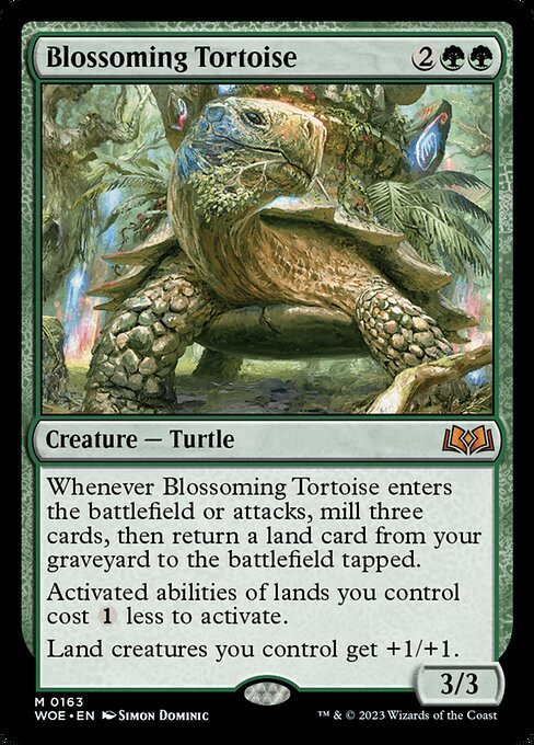 Blossoming Tortoise (163)