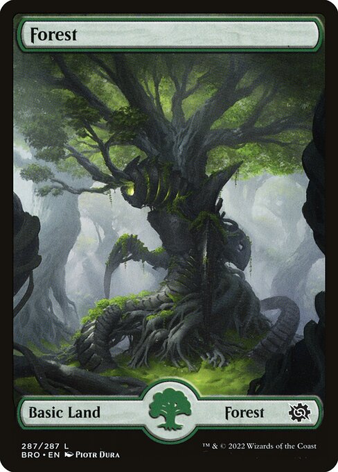 Forest (287) - FULL ART (Foil)
