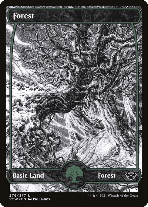 Forest (276) - SHOWCASE - FULL ART